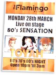 [ Flamingo's Toyah poster ]