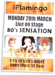 [ Flamingo's Toyah poster ]