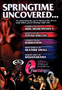 [ The Flamingo - Press Ad, Feb 2006 ]