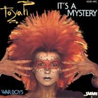 [ Dutch 'It's A Mystery' single ]